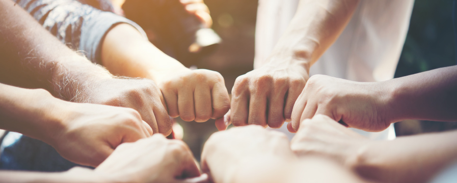 Collaborazioni